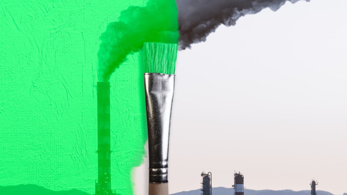 Travel Companies Are 'Greenwashing' — Here Are 3 Ways to Find Ones That Aren't – NBC 6 South Florida - Vimarsana News