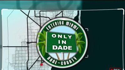 Only in Dade: Top Videos of the Week