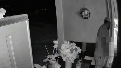 BSO Searching for Accused Voyeur in Weston