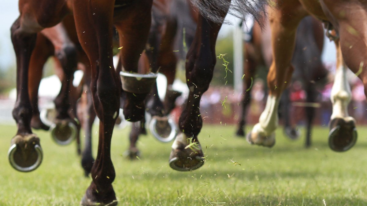 Exercise Rider Killed in Florida Horse Track Accident – NBC 6 South Florida - Vimarsana News