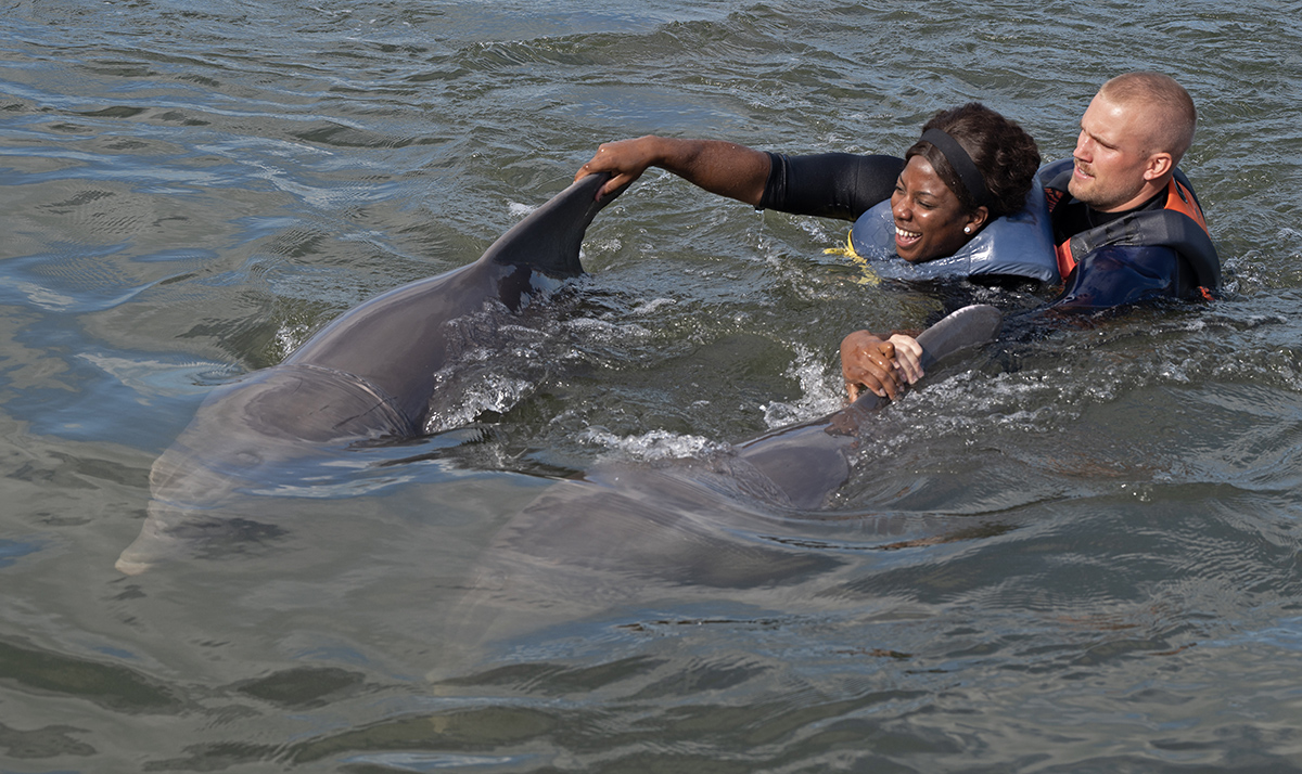 Wounded Warriors End Florida Keys Soldier Ride with Dolphins