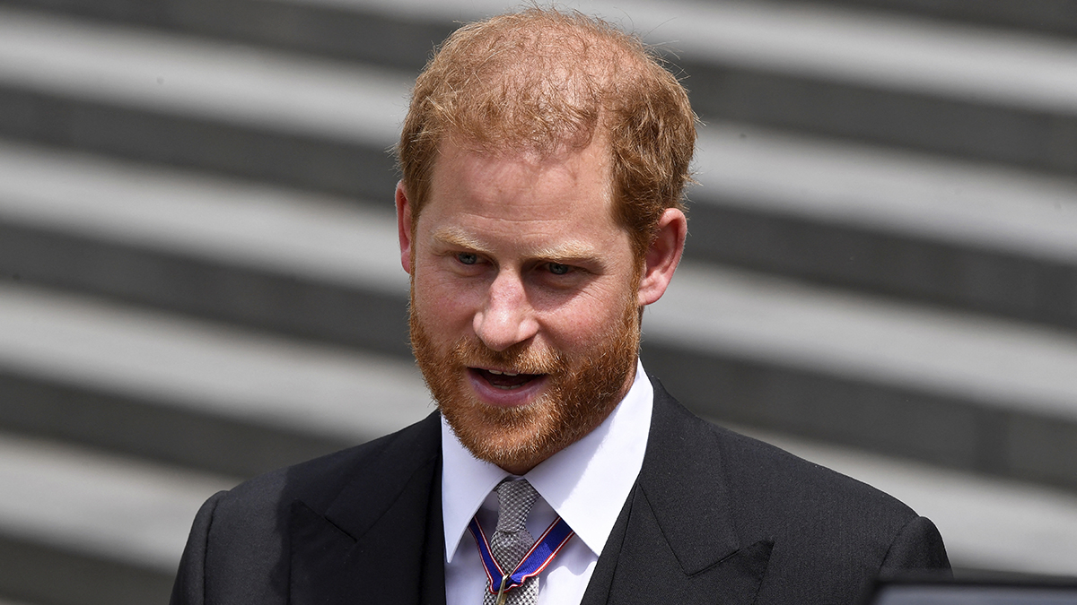 In New Interview, Prince Harry Says He Needs His Father and Brother Back again