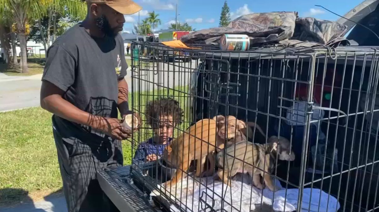 Grandmother Hospitalized, 2 Puppies Killed in Florida City House Fire