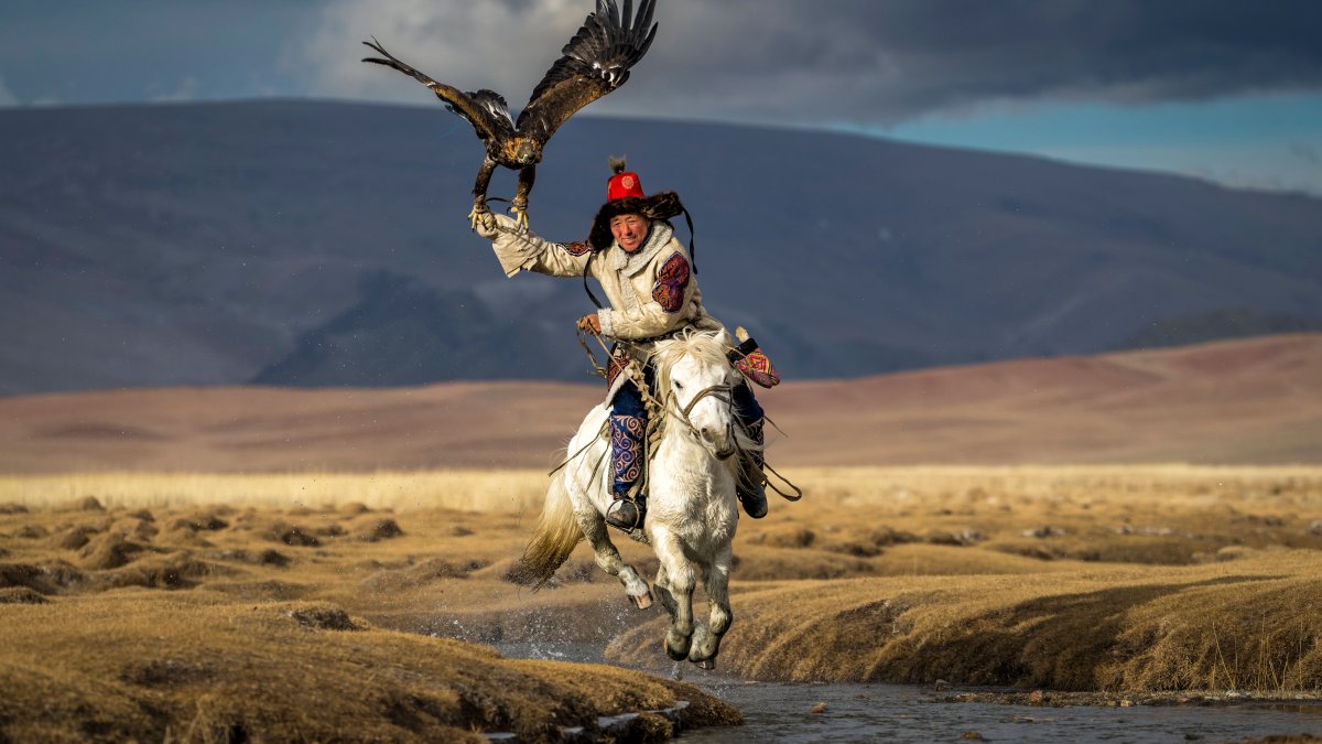See the Photos That Won National Geographic's 'Pictures of the Year' Contest – NBC 6 South Florida - Vimarsana News