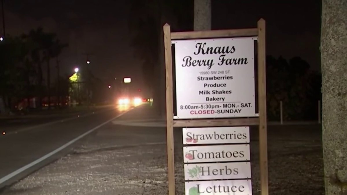 NextImg:New Details Released in Brutal Beating of Knaus Berry Farm Owners by Son