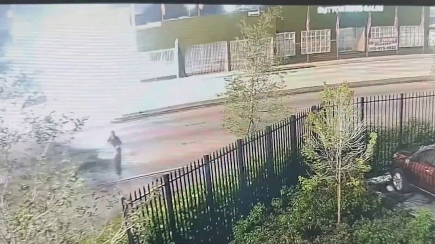 Driver Sought After Man Killed in Miami Hit-And-Run Caught on Camera