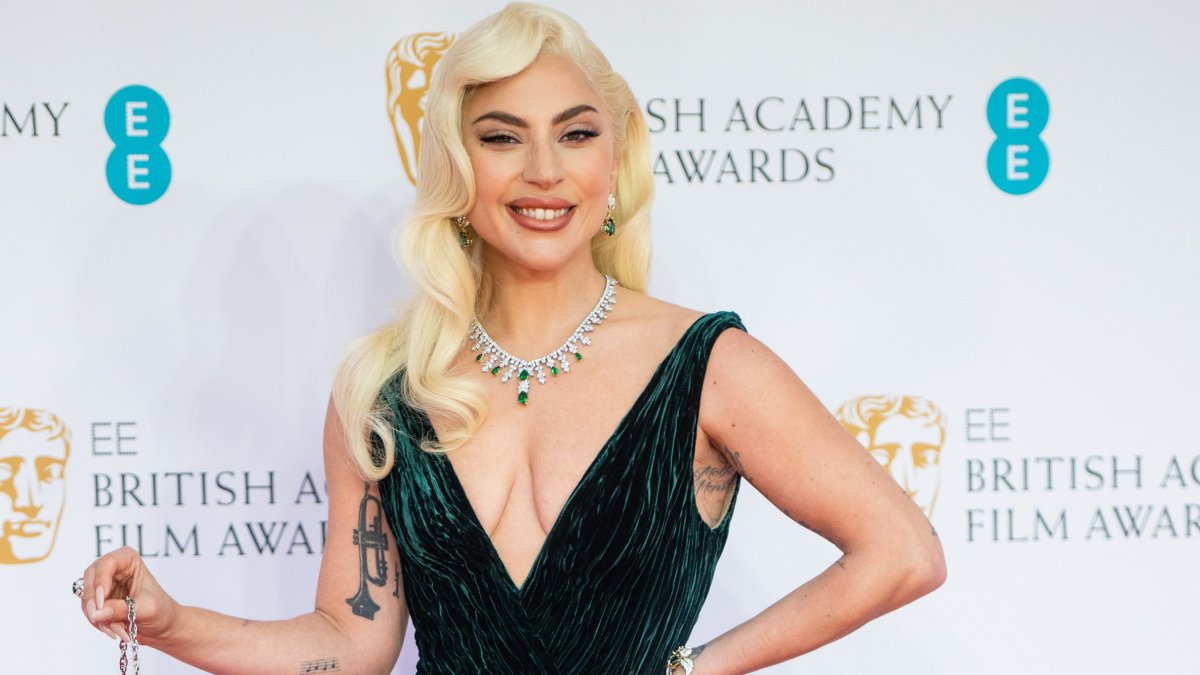 Woman Gaga Sued by Girl Billed in Pet dog Theft Who Is Demanding 0,000 Reward
