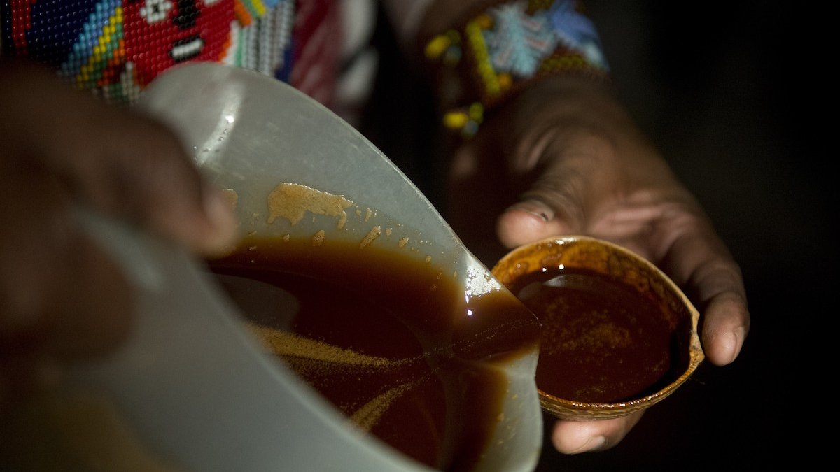What Is Ayahuasca? Treatments, Legality, Side Effects and More – NBC 6 South Florida - Vimarsana News