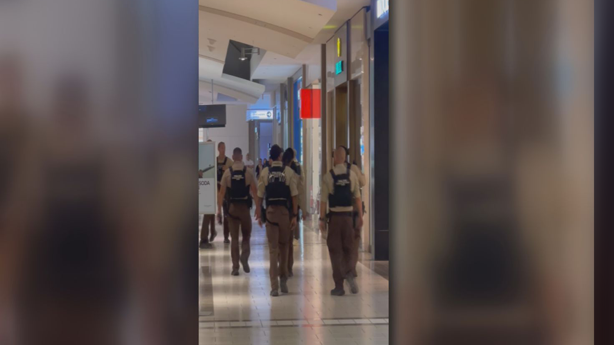 Police find no evidence of gunfire at Florida mall