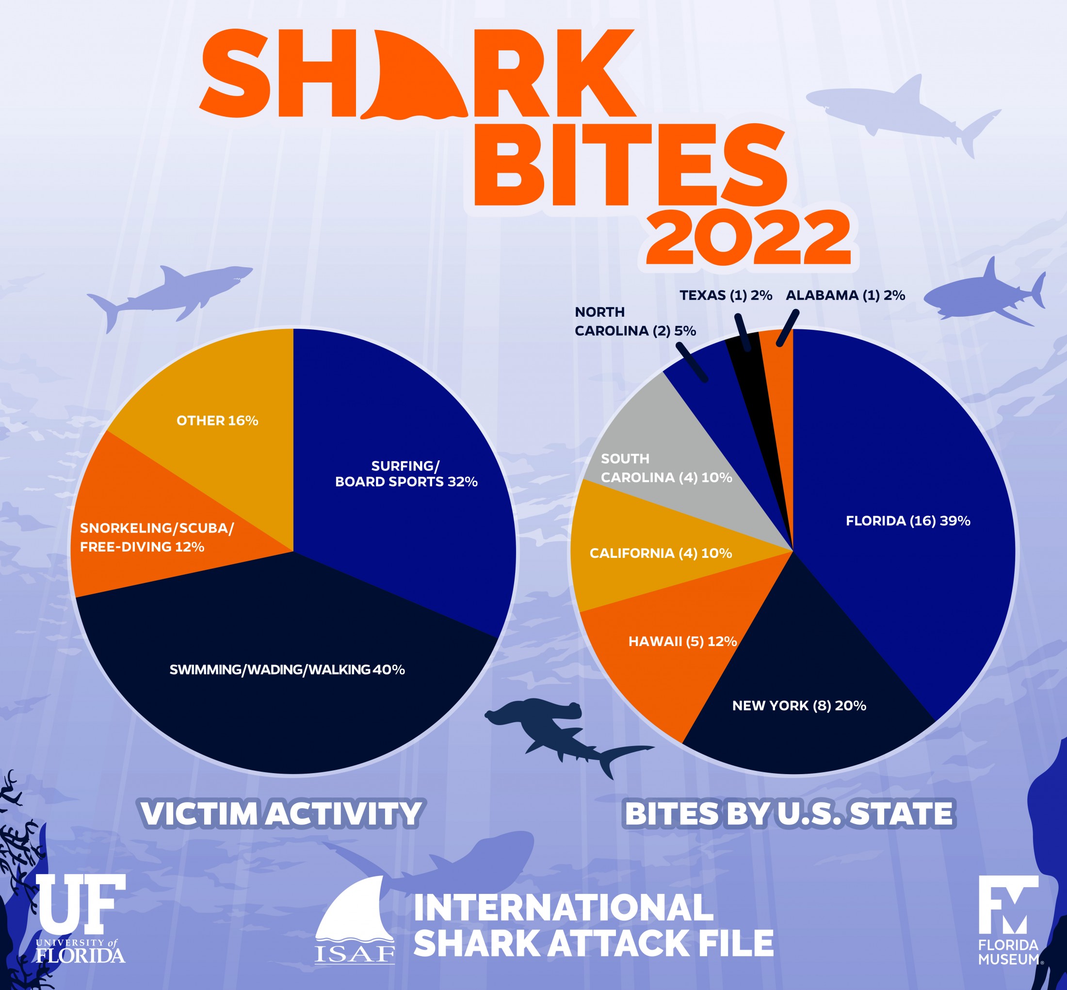 Florida Still World's Shark Bite Capital: How Many Happened in