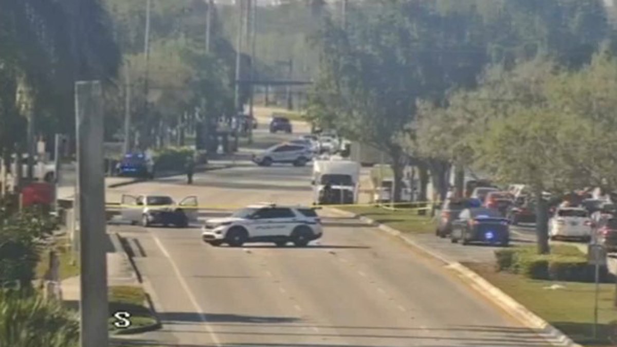 Woman Struck and Killed by Out-of-Control Car While Walking on Sunrise ...
