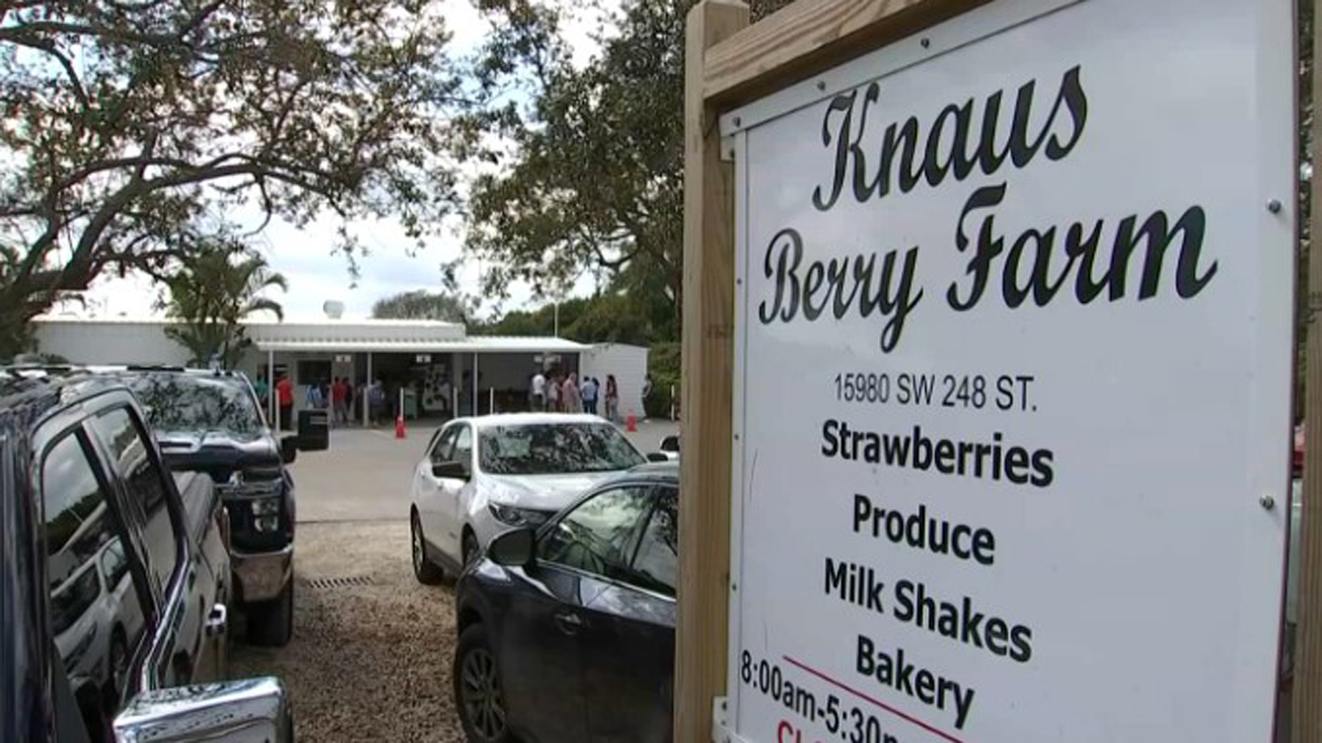 Funeral Held for Knaus Berry Farm Owner Rachel Knaus Grafe After Son