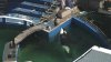 Moving Miami Seaquarium's Lolita: A Look at the Plan to Relocate Killer Whale to Pacific