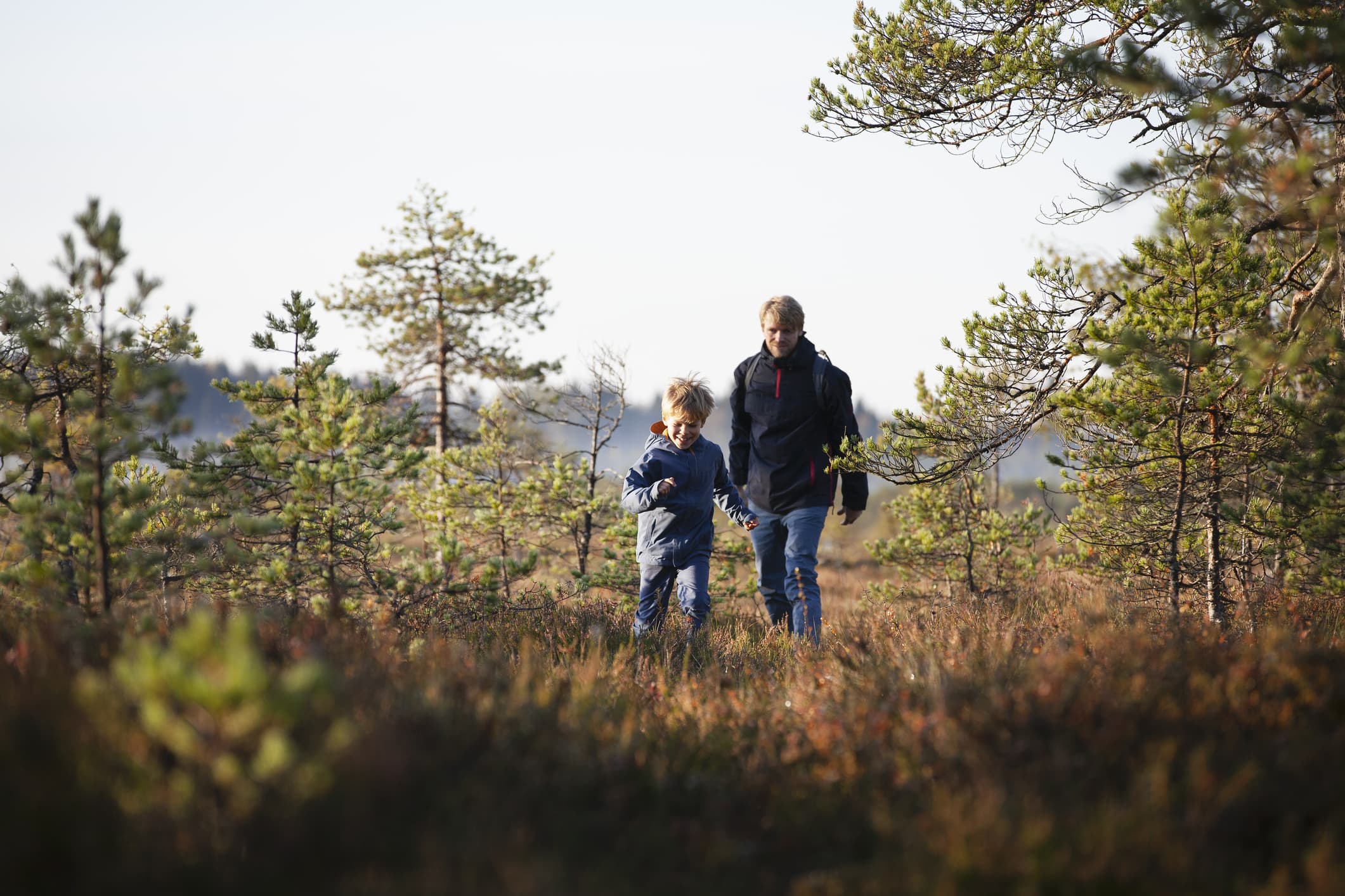 Finland Is the No. 1 Happiest Country in the World for the Sixth Year in a Row – NBC 6 South Florida