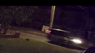 Police Seek Driver in Fatal Hit-And-Run in Hollywood
