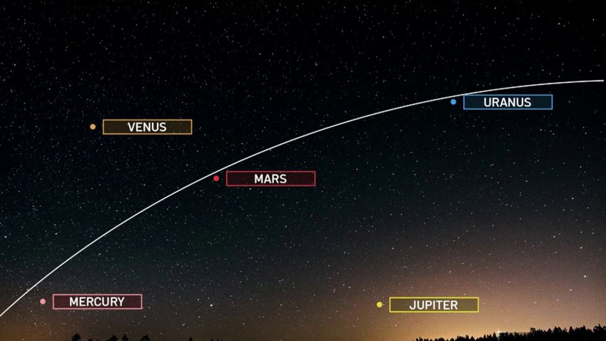 5 Planets Will Be Visible in Florida's Night Sky