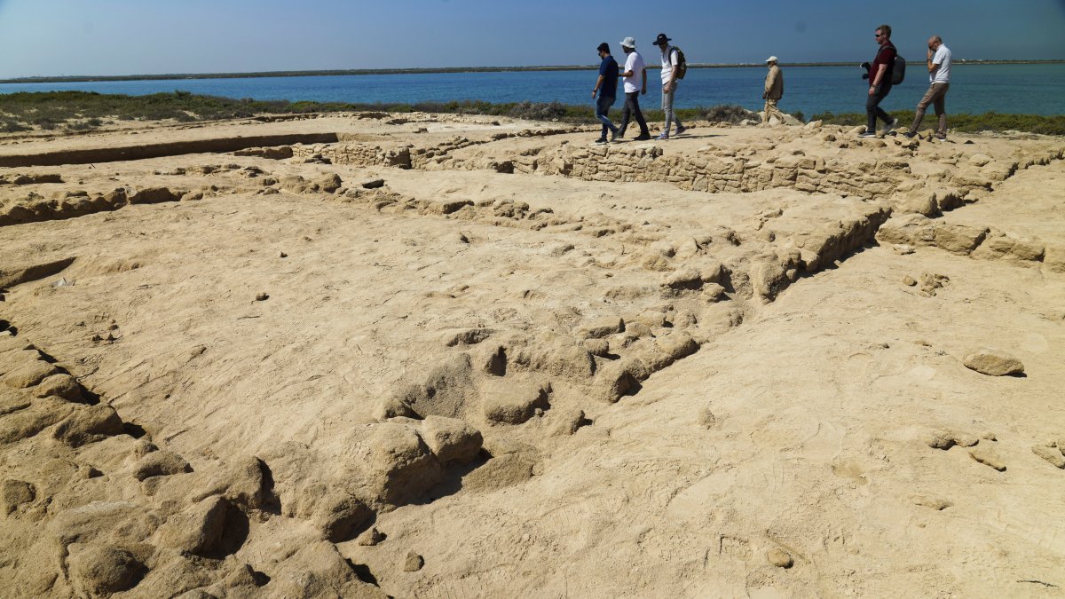Archaeologists Find Oldest Pearl Town in Persian Gulf – NBC 6 South Florida - Vimarsana News