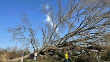 A fallen tree blocks the street on Saturday, March 25, 2023 in Silver City, Miss. Emergency officials in Mississippi say several people have been killed by tornadoes that tore through the state on Friday night, destroying buildings and knocking out power as severe weather produced hail the size of golf balls moved through several southern states.