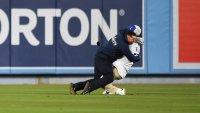 Love Hurts: Dodgers Fan Runs Onto Field to Propose, Gets Trucked by Security Guard