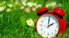 ‘Spring Forward' in Florida: When Do the Clocks Change and How Could It Affect Your Body?