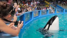 The audience at the Miami Seaquarium watching Lolita the killer whale at its 40th anniversary performance. (Photo by: Jeff Greenberg/Universal Images Group via Getty Images)