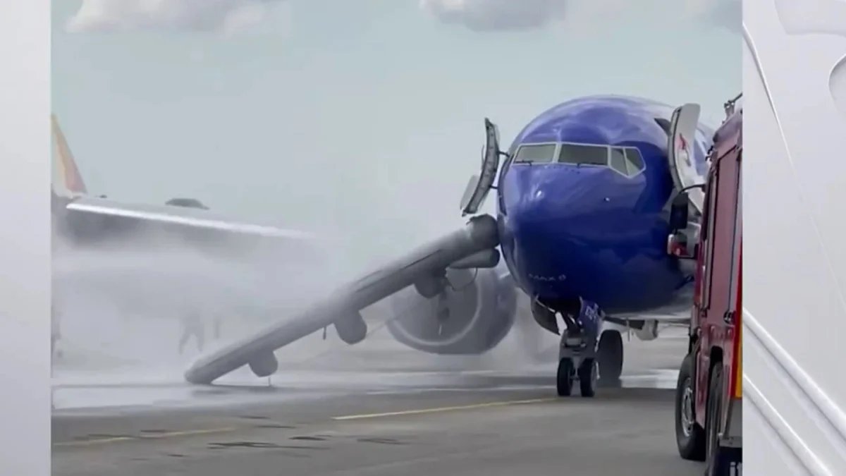 Passengers Arrive in Florida After Bird Strike Caused Emergency Landing – NBC 6 South Florida - Vimarsana News