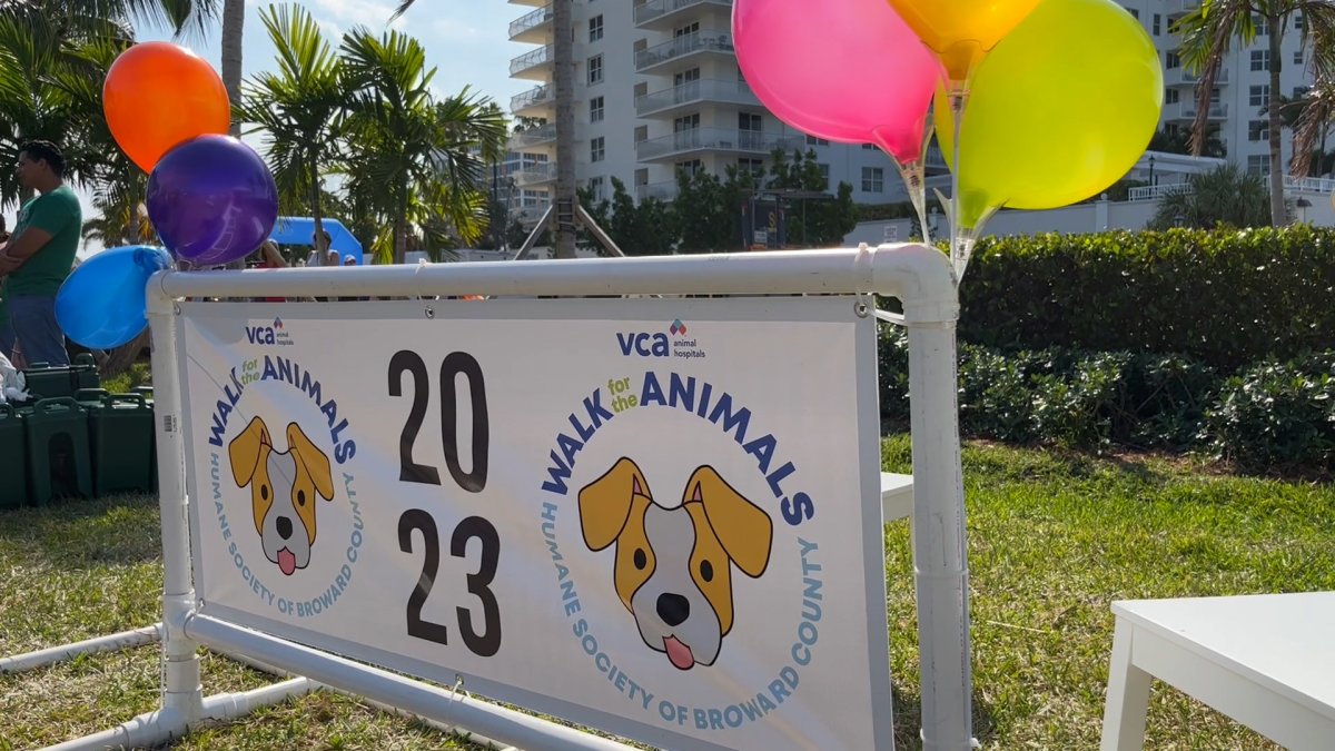 VCA Walk for the Animals – NBC 6 South Florida - Vimarsana News