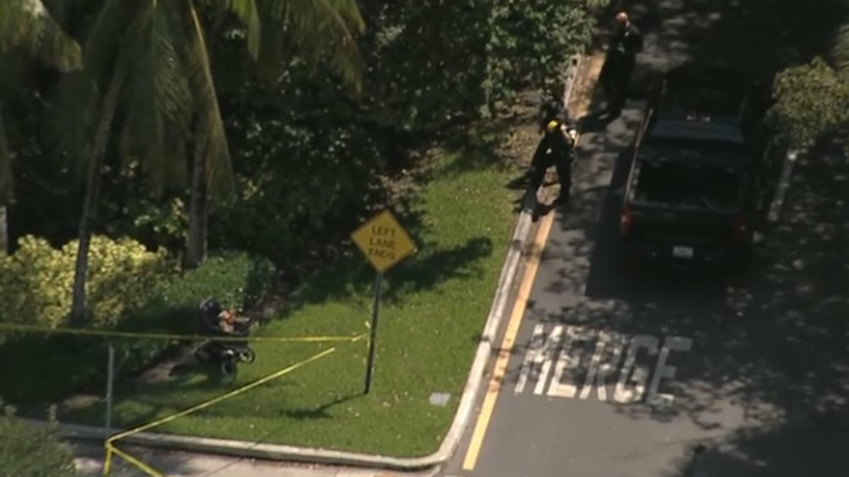 Adult, Child Rushed to Hospital After Being Struck by Vehicle in ...