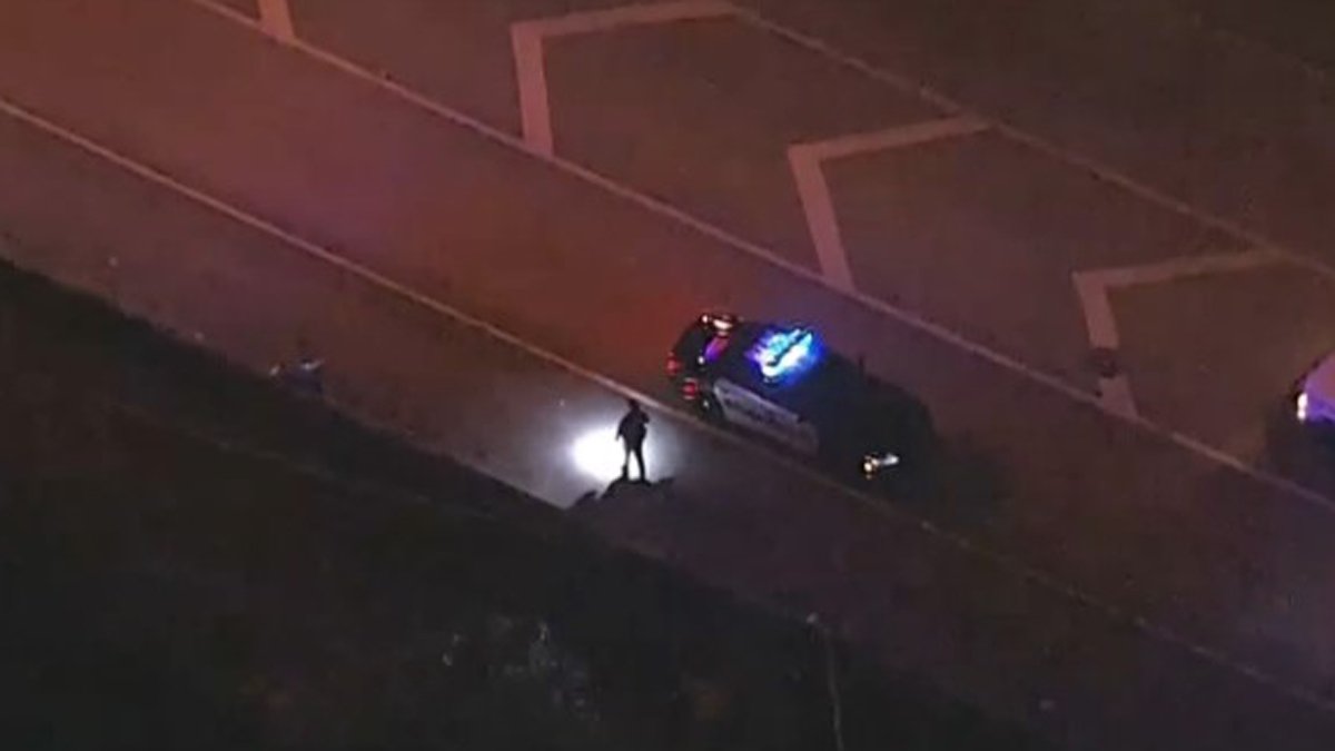 Woman Found Stabbed to Death Near Ramp to I-95 in Broward – NBC 6 South ...