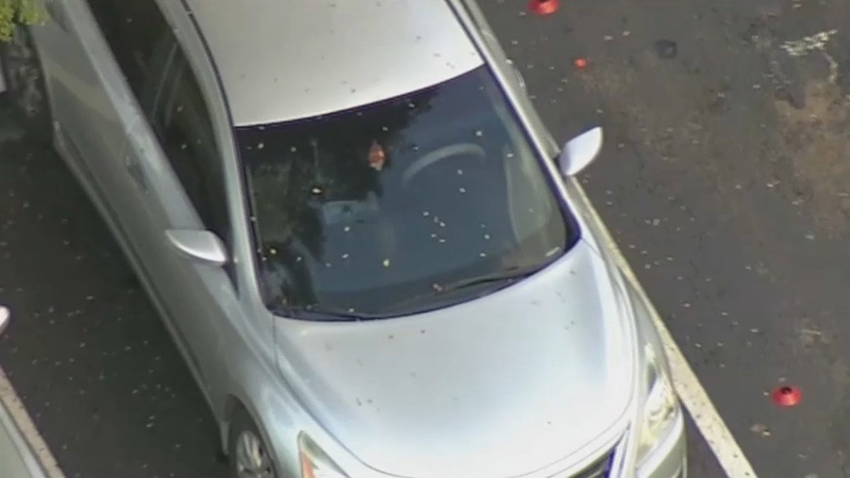 Man Hospitalized After Being Shot While Driving in Northwest Miami-Dade ...