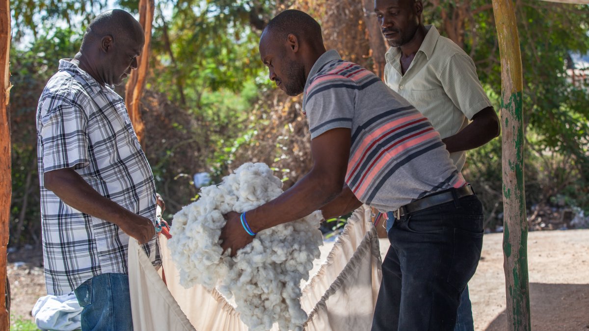 How Timberland, Vans, VF Corp. Are Making Sure Their Cotton Isn't 'Greenwashed' – NBC 6 South Florida - Vimarsana News