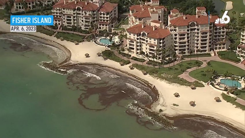 Aerial Video: See How Sargassum Seaweed is Affecting South Florida Beaches