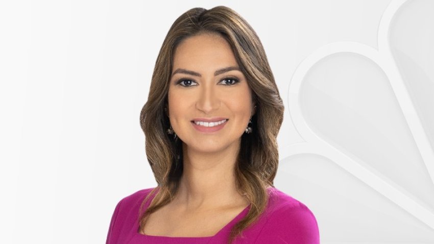 Chelsea Ambriz – Nbc 6 South Florida