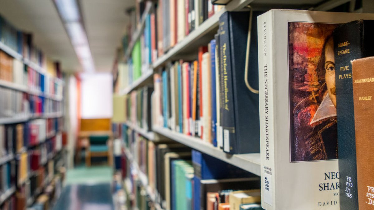 Llano County Decides to Put Banned Books Back in Circulation After Judge Order – NBC 6 South Florida - Vimarsana News