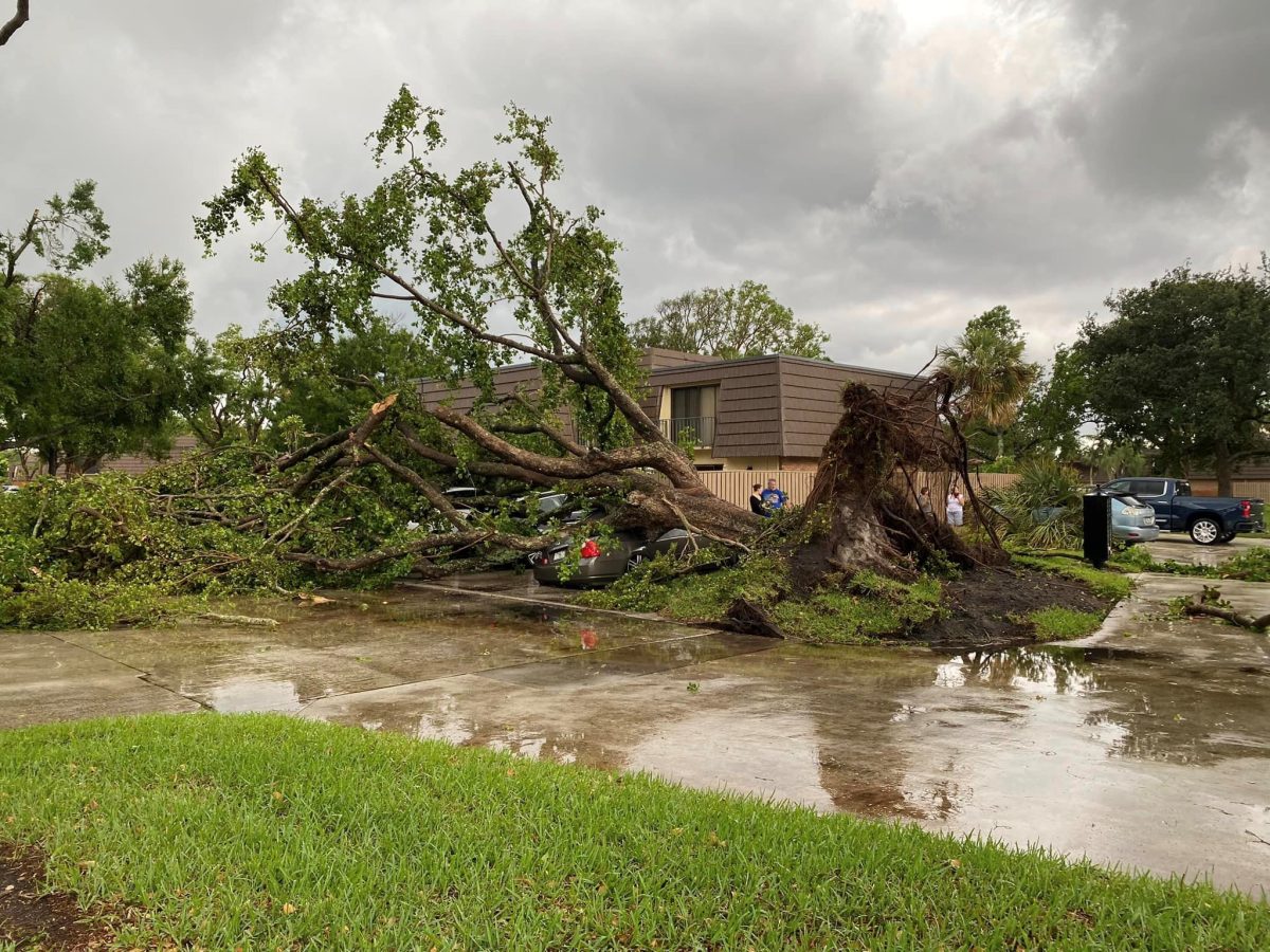 Tornado Touches Down In Palm Beach Gardens Causing Destruction – NBC 6 ...