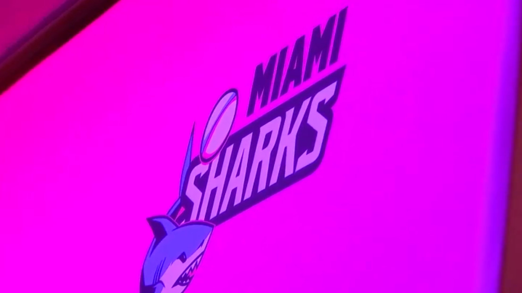 Miami Sharks - MLR's New Wave: Join the Rugby Revolution in 2024