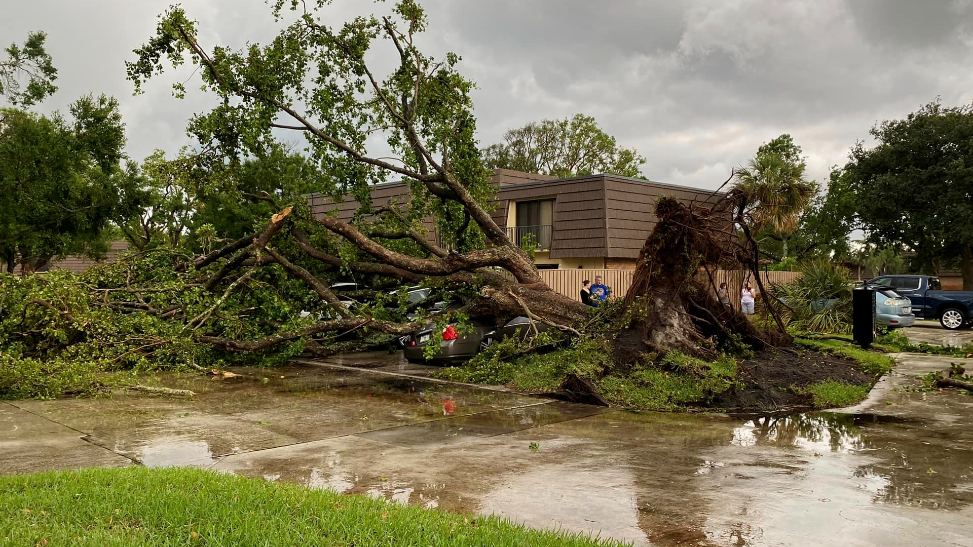 PHOTOS: Tornado Touched Down in Palm Beach Gardens Leaving Destruction in Its Wake