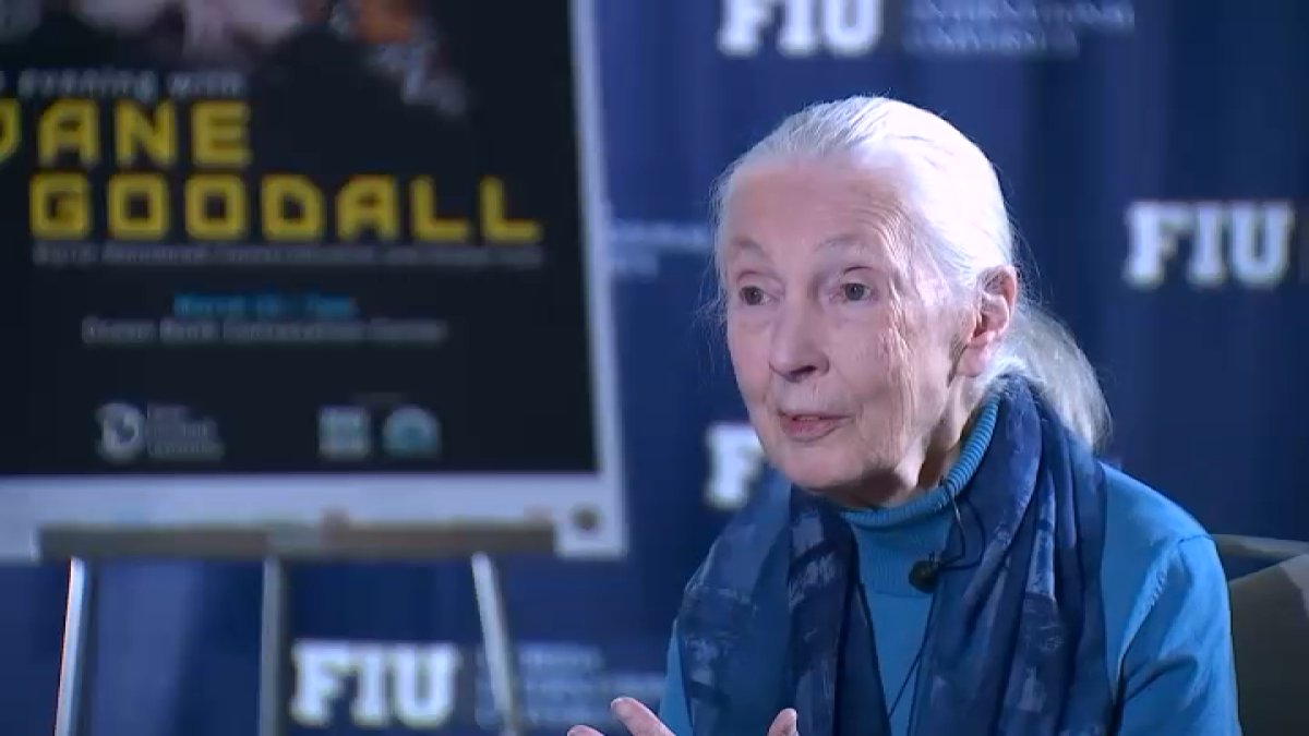 Renowned Conservationist Jane Goodall Brings Message of Hope to South