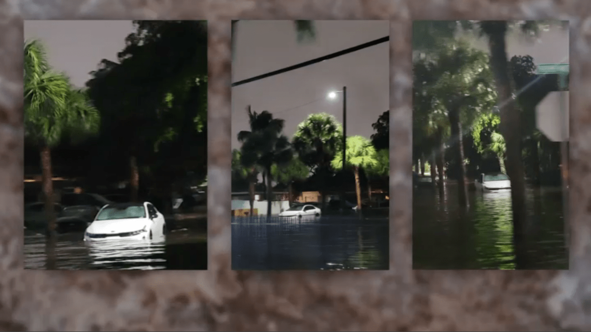 How to Track Down Your Car After It's Been Towed – NBC 6 South Florida - Vimarsana News