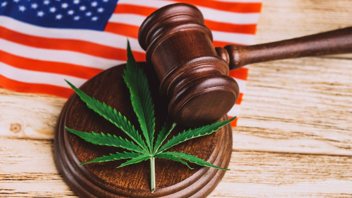 Here Are All the States That Have Legalized Weed in the US – NBC 6 South Florida - Vimarsana News