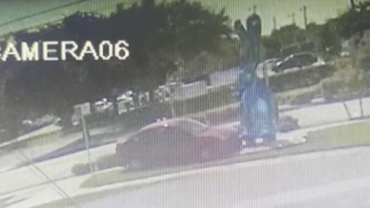 Crash The Blue Rabbit Man Crashes Into Wilton Manors Rabbit Statue, Admits to Multiple ...