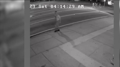 Man Caught on Camera Trying to Break Into Famed Miami Restaurant Ms. Cheezious