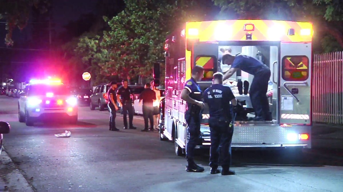 Woman Struck in Little Havana Hit and Run – NBC 6 South Florida