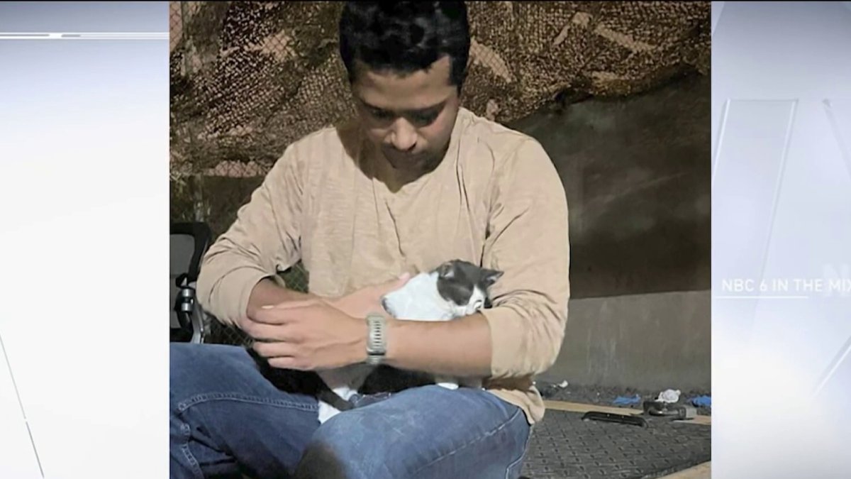 Helping Relocate Animals Rescued by Soldiers NBC 6 South Florida