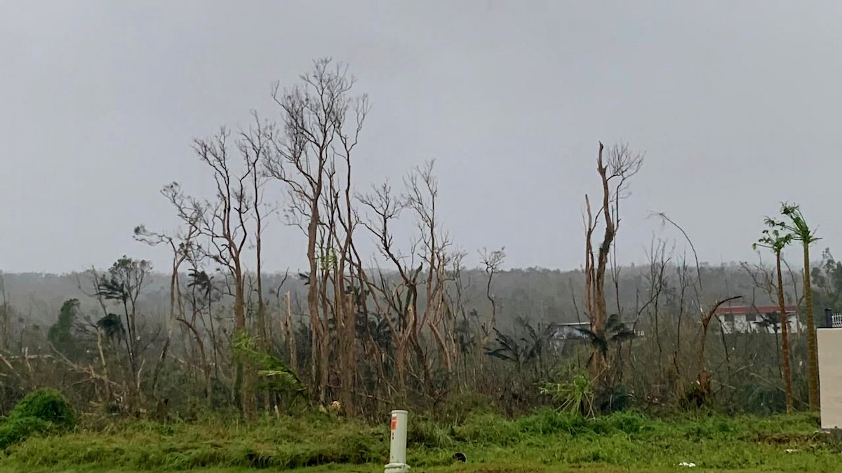 Typhoon Mawar Leaves Path of Destruction in Guam – NBC 6 South Florida - Vimarsana News