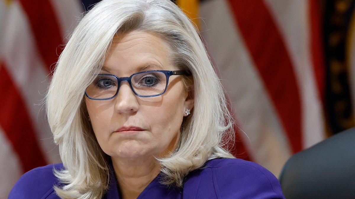Liz Cheney Launches New Hampshire TV Ad Slashing Donald Trump - Vimarsana News
