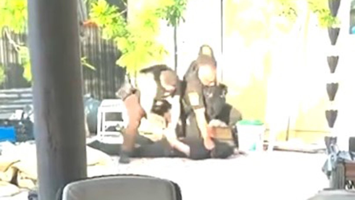Suspect in custody after reported stolen car chase ends in crash in ...