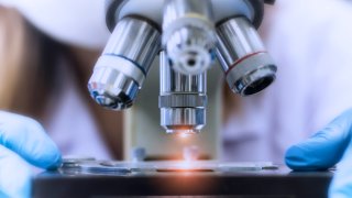 Close up picture of microscope in the laboratory