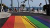 LGBTQ+ Community Flocks to Florida for Gay Days Festival