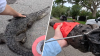 Video shows trappers wrangling 5-foot crocodile in Coral Gables neighborhood